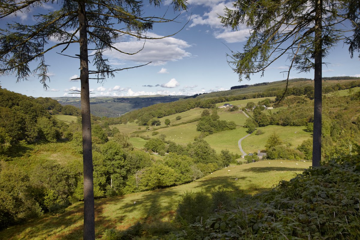 Thanks to @wolfsonfdn, gifts from Welsh charitable trusts as well as investment from National Trust Cymru, we’re about to embark on a project at Tŷ Mawr Wybrant to ensure that this cultural gem can be enjoyed by everyone for centuries to come. Read more: bit.ly/3x2UzJP