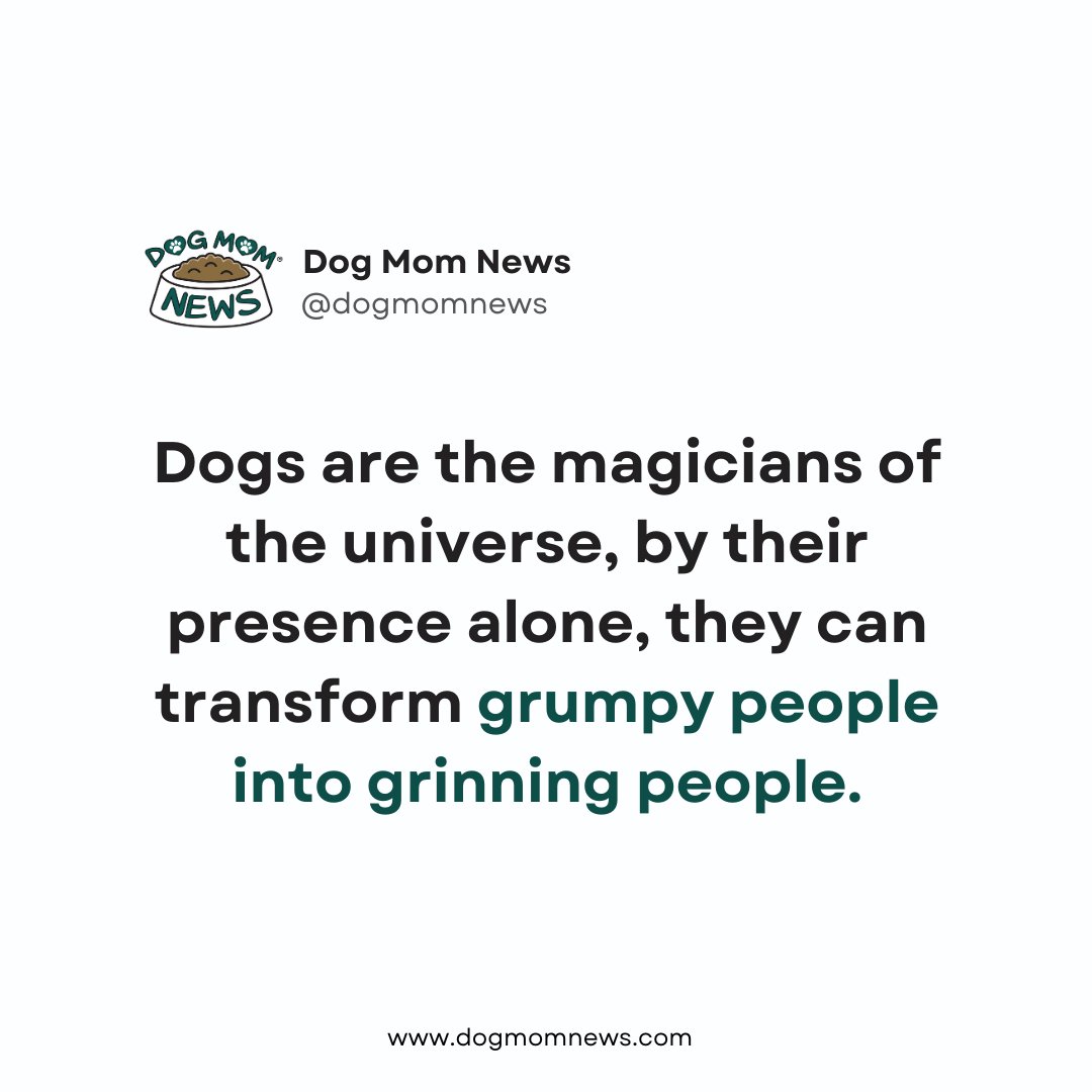 DogMomNews's tweet photo. 💚 https://t.co/uihb3jwqkF