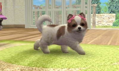 heartipink's tweet image. nintendogs