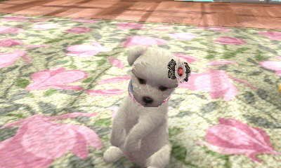 heartipink's tweet image. nintendogs