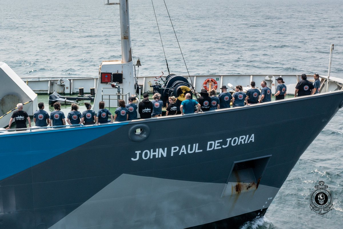 🌊 Throwback to last year's Iceland campaign, #OpPaiakan! Huge shoutout to our incredible crew who were prepared to risk it all for the protection of fin whales. It's admirable to see individuals dedicating their time and efforts to such important causes, like taking action to…