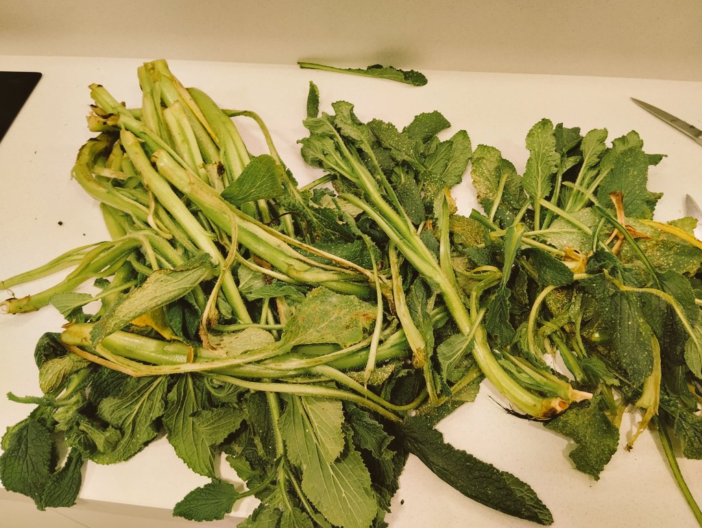 Ibai Ruiz de Aretxabaleta tweet media