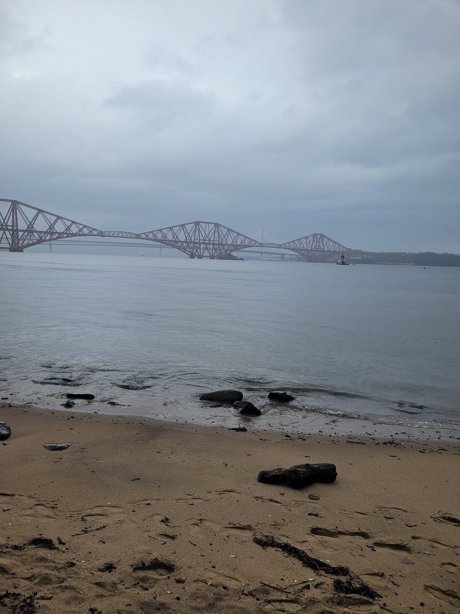 LVPS Nursery tweet media