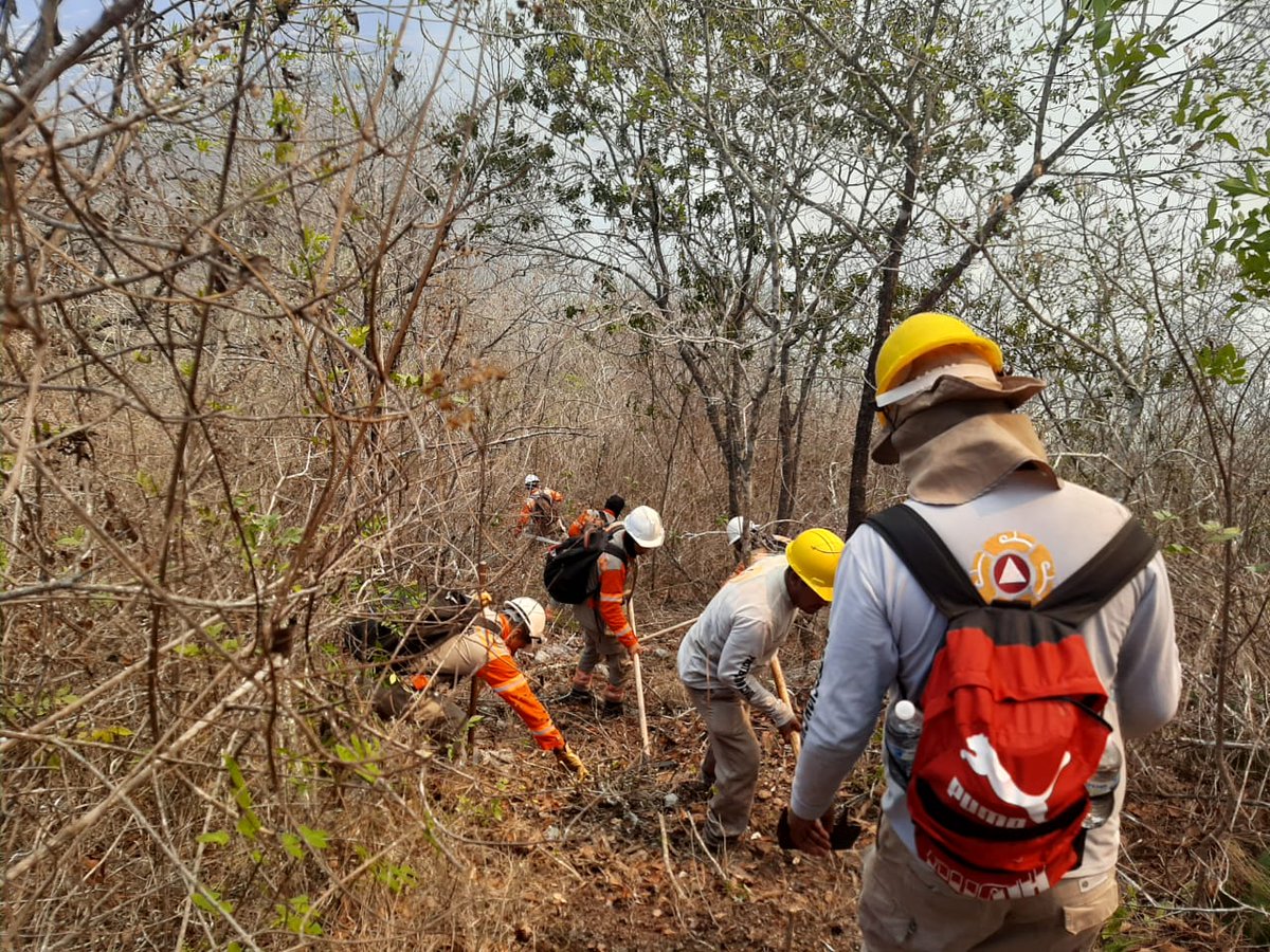 DiarioChiapas's tweet photo. 🔵 #Metrópolis | Sesionó el Comité Estatal de Emergencias para reforzar las acciones de combate de incendios que se han registrado en las últimas horas. 

Se informó que se tienen cuado incendios relevantes en la región Metropolitana: uno en el cerro Mactumatzá en Tuxtla Gutiérrez, uno en San Fernando y dos en Suchiapa.

Se acuerda establecer el Sistema de Comando de Incidentes y activar traslado de personal combatiente con via aérea con helicópteros de Protección Civil Chiapas. 

En este contexto, el secretario de Protección Civil, Luis Manuel García Moreno informó que se refuerza la coordinación interinstitucional a través de la mesa estatal de seguridad, con el respaldo del gobernador Rutilio Escandón Cadenas. | #DiariodeChiapas

📲https://t.co/EfIqMFYND3