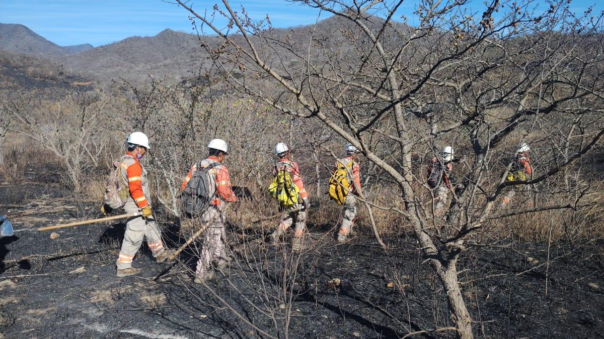 DiarioChiapas's tweet photo. 🔵 #Metrópolis | Sesionó el Comité Estatal de Emergencias para reforzar las acciones de combate de incendios que se han registrado en las últimas horas. 

Se informó que se tienen cuado incendios relevantes en la región Metropolitana: uno en el cerro Mactumatzá en Tuxtla Gutiérrez, uno en San Fernando y dos en Suchiapa.

Se acuerda establecer el Sistema de Comando de Incidentes y activar traslado de personal combatiente con via aérea con helicópteros de Protección Civil Chiapas. 

En este contexto, el secretario de Protección Civil, Luis Manuel García Moreno informó que se refuerza la coordinación interinstitucional a través de la mesa estatal de seguridad, con el respaldo del gobernador Rutilio Escandón Cadenas. | #DiariodeChiapas

📲https://t.co/EfIqMFYND3