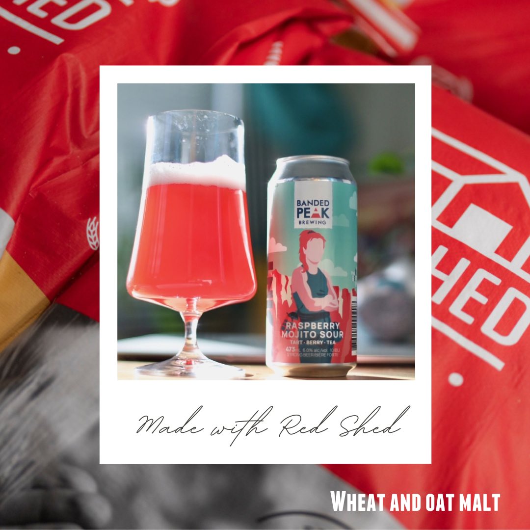 Made with Red Shed: International Women’s Day Brew ❤️ @BandedPeak_Brew - Calgary, Ab beer Vikki’s Vantage Point Raspberry Mojito Sour [Available Now!] 🍻 • Made with Red Shed Wheat and Oat malt 🌾 ✔️Proceeds Supporting: Get Outside Adventures