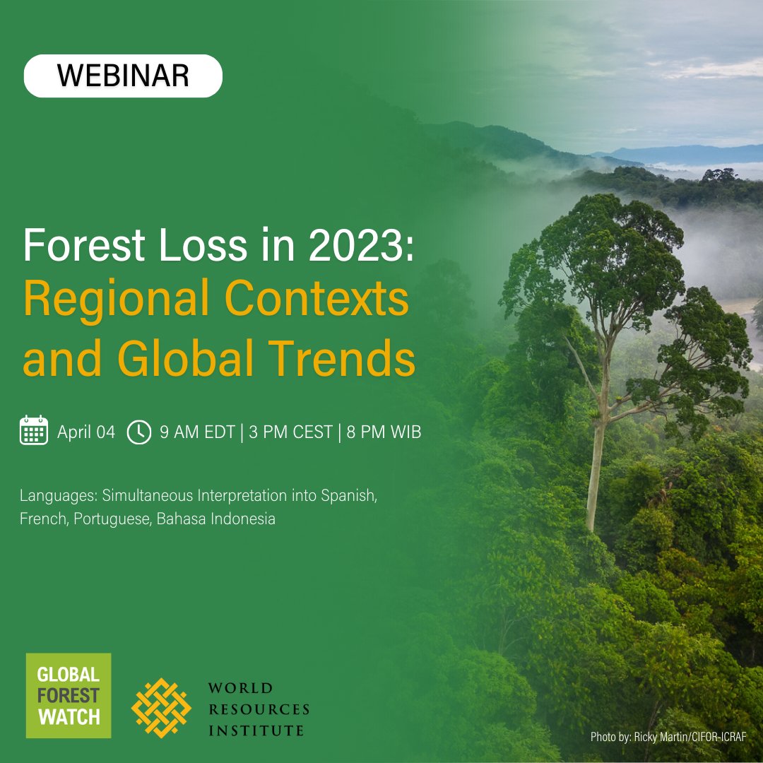 What were the trends in forest loss in 2023, and what factors are impacting these trends at the country and regional levels?🌳🌎 Join us for a presentation on 2023 #TreeCoverLoss data analysis and a discussion on the state of forests. Register today ➡wri.zoom.us/webinar/regist…