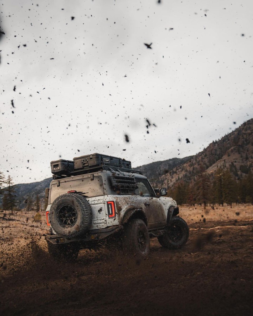 ROUSH Performance tweet media