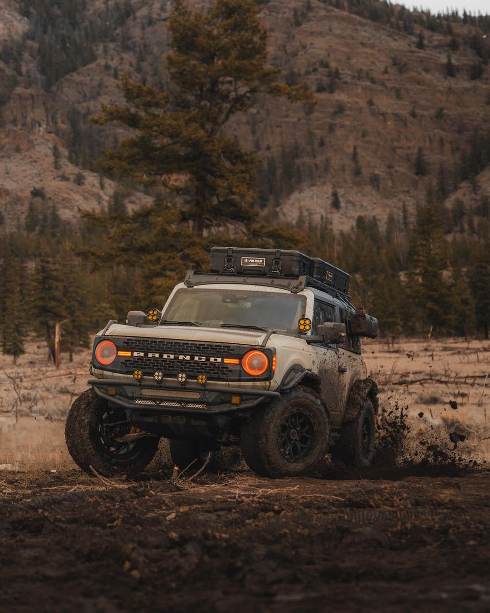 ROUSH Performance tweet media