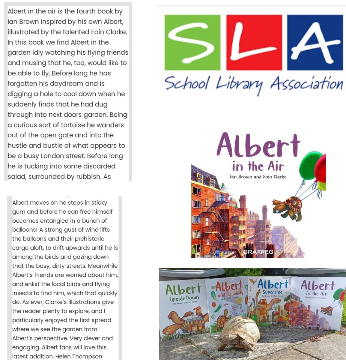 AlbertTortoise's tweet image. CLEVER, ENGAGING, ALBERT FANS WILL LOVE.. Ace #BookReview from @uksla  #SchoolLibrary Association for #ALBERTthetortoise #picturebook ALBERT IN THE AIR. #AvailableNow with five more ALBERT #picturebooks, #BoardBook and #ActivityBook. Alberttortoise.com
#Library #bookser