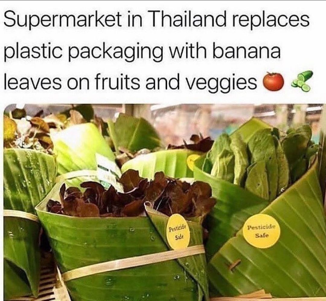 ecofriendlyfact's tweet photo. What an innovative idea truly amazing!
Read more : https://t.co/vWVfS96Ept
#ecovillage #ecolifestyle #ecoblogger #ecotips #zerowastetips #zerowasteshopping #zerowastekitchen #zerowastejourney #zerowastetravel #zerowastecollective https://t.co/xY8okEvEXx