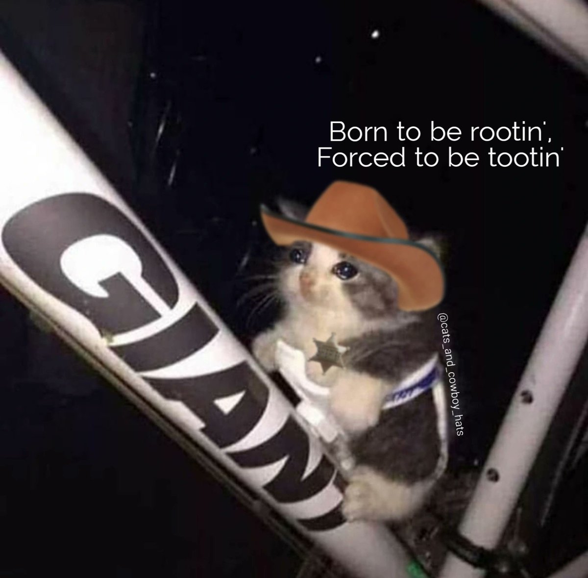 Cats And Cowboy Hats (@CowboyCats) on Twitter photo 2024-03-27 18:16:09