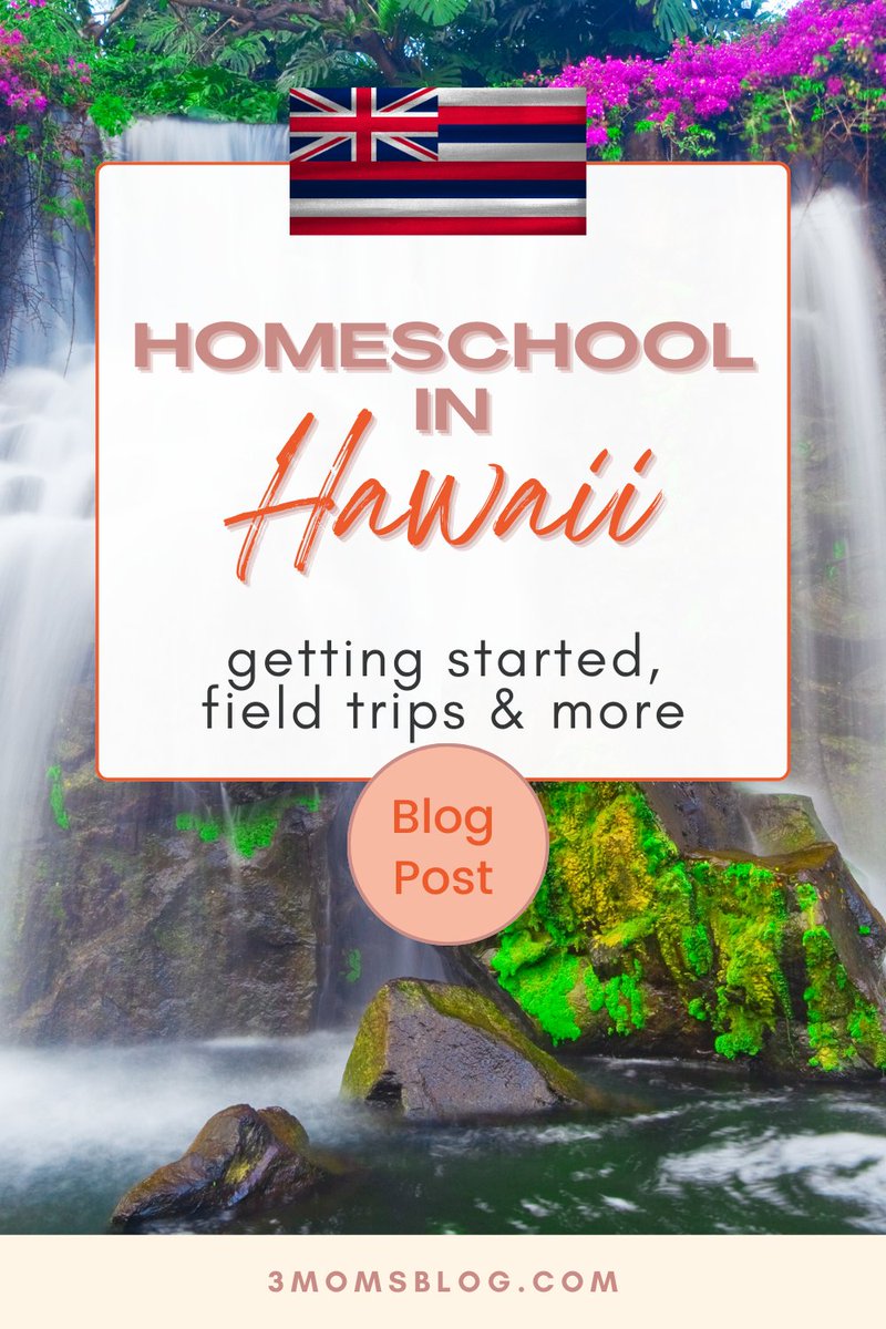 All in for destination homeschooling?

Info. on Hawaii homeschool law, HI homeschool groups, and homeschool field trips in the Aloha State. Freebie links for online learning are included too. 

3momsblog.com/homeschool-in-…

#Homeschooling #homeschoolhawaii #alohastate #hawaii