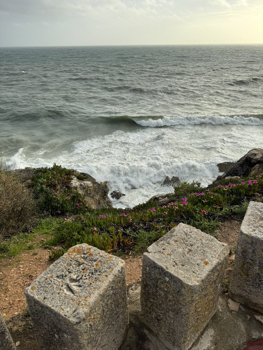 Joe Laszlo tweet media