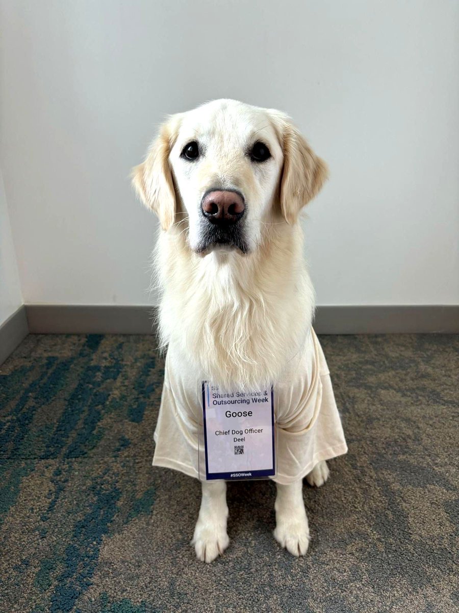 deel's tweet photo. Want to elevate your conference experience? Consider bringing a companion along.
✅ Charms everyone
✅ Fully credentialed
✅ Fluent in 'Woof' and 'Networking'
#SSOWeek https://t.co/h0C6ZCalLi
