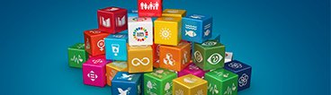 Frontiers appoints Francesca Tettamanzi as lead for UN #SDG Publishers Compact commitment Read more: knowledgespeak.com/news/frontiers… #SDGs #PublishersCompact #sustainability #SustainableDevelopmentGoals @FrontiersIn