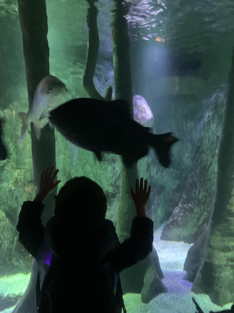 Year1@fircroft.family tweet media