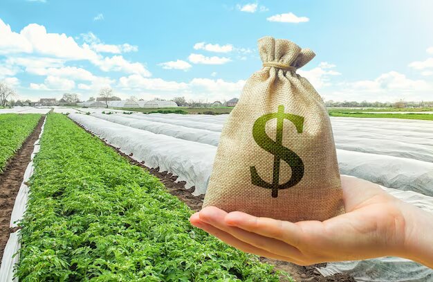 #27Mar #Agricultura FEDEAGRO: Se necesitan 1500 millones para impulsar producción agropecuaria venezolana / Para que la producción agrícola venezolana pueda retomar niveles como los alcanzados en el año 2010... visionagropecuaria.com.ve/fedeagro-se-ne…