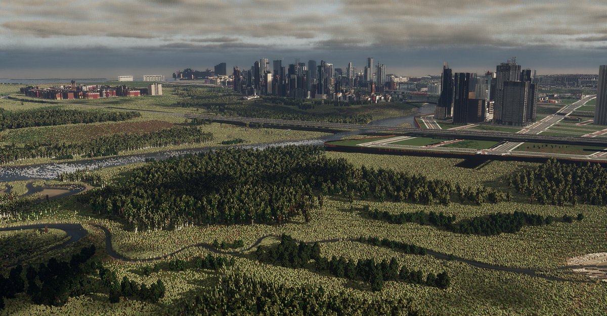 This is our Minecraft city. 

#Minecraft