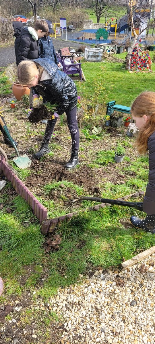Bargarran Primary (@bargarranps) on Twitter photo We had a fab afternoon at <a href="/ErskineCGarden/">ErskineCGarden</a> with <a href="/NikkiYServices/">Nikki</a> learning about planting and sustainability 🌱 Thank you for having us! <a href="/LfSScotland/">Learning for Sustainability Scotland</a> We had a fab afternoon at <a href="/ErskineCGarden/">ErskineCGarden</a> with <a href="/NikkiYServices/">Nikki</a> learning about planting and sustainability 🌱 Thank you for having us! <a href="/LfSScotland/">Learning for Sustainability Scotland</a>