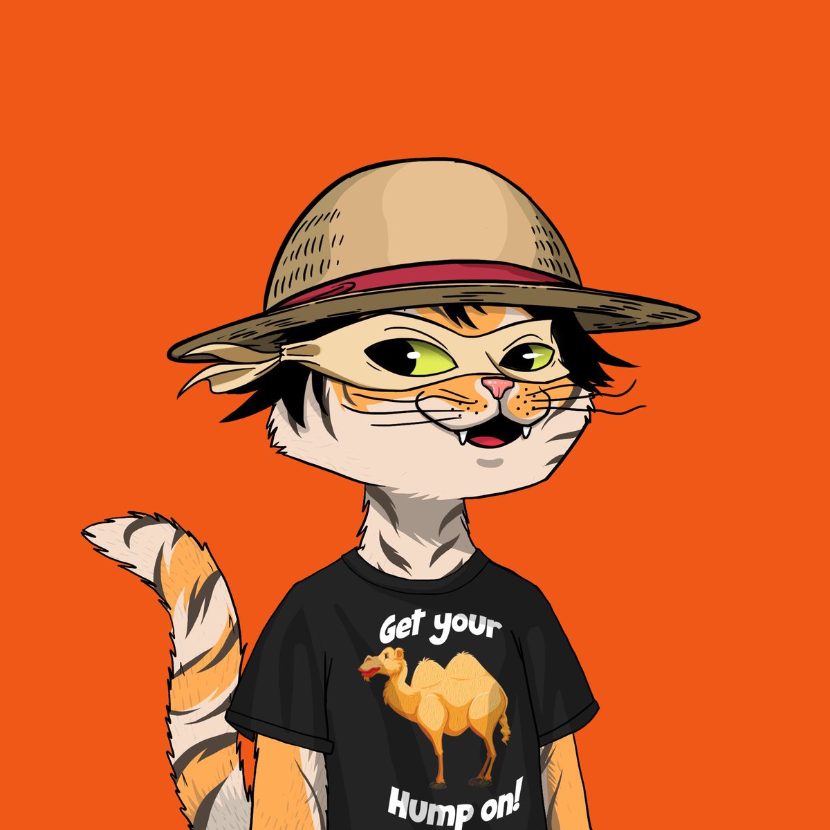 Jay B 😻🚀 tweet media