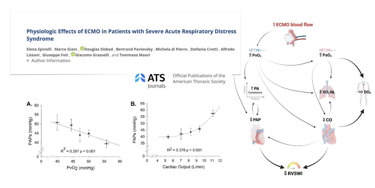 Physiologic effects of #ECMO in severe #ARDS?  ⬆️ EBF resulting in higher SvO2 decreases PAP, CO, right heart workload. PA compliance improve, too, w/o worsening ventilation/perfusion mismatch.
🫁🩸🫀 Complex interactions drive such changes, with the aim of minimising CO while