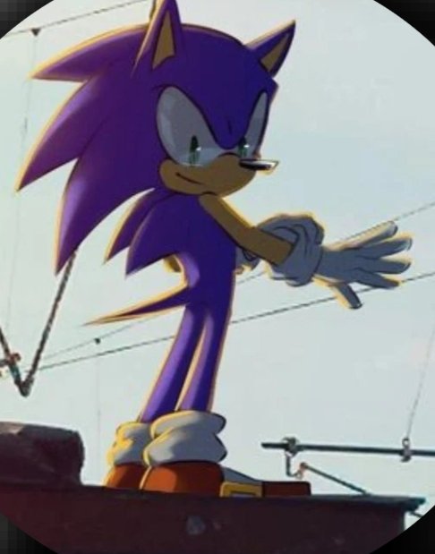 Sakata_Dexi's tweet photo. @1096j @sushi_barton Quería preguntar sí alguien tendría la imagen completa de este Sonic.

 I wanted to ask if anyone had the full image of this Sonic https://t.co/Uf9GTGqasg