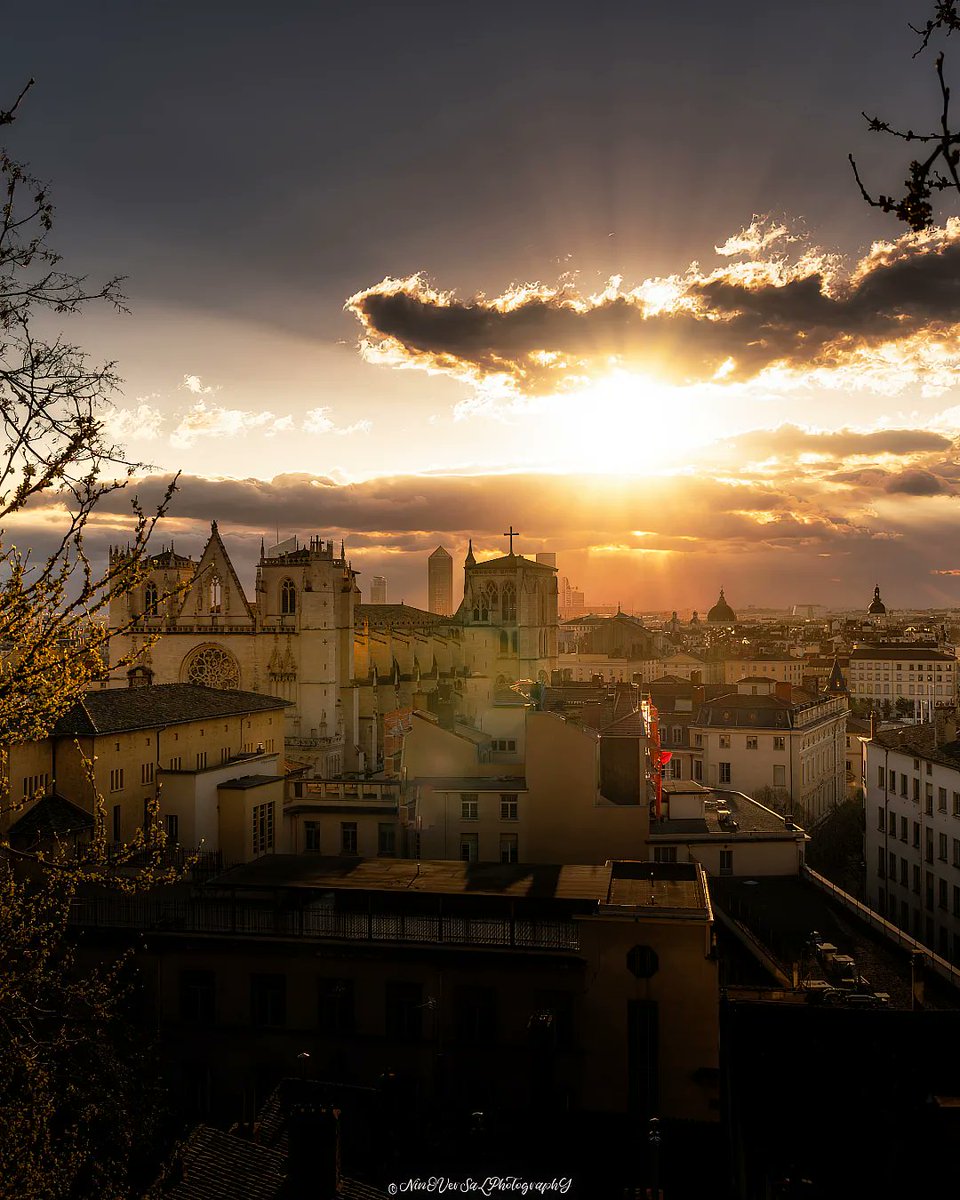 À la faveur de la lumière 🦁 Par © Ninoversalphotography (Instagram /Facebook) #Lyon #picoftheday #pictureoftheday #photooftheday #photography #sunrise