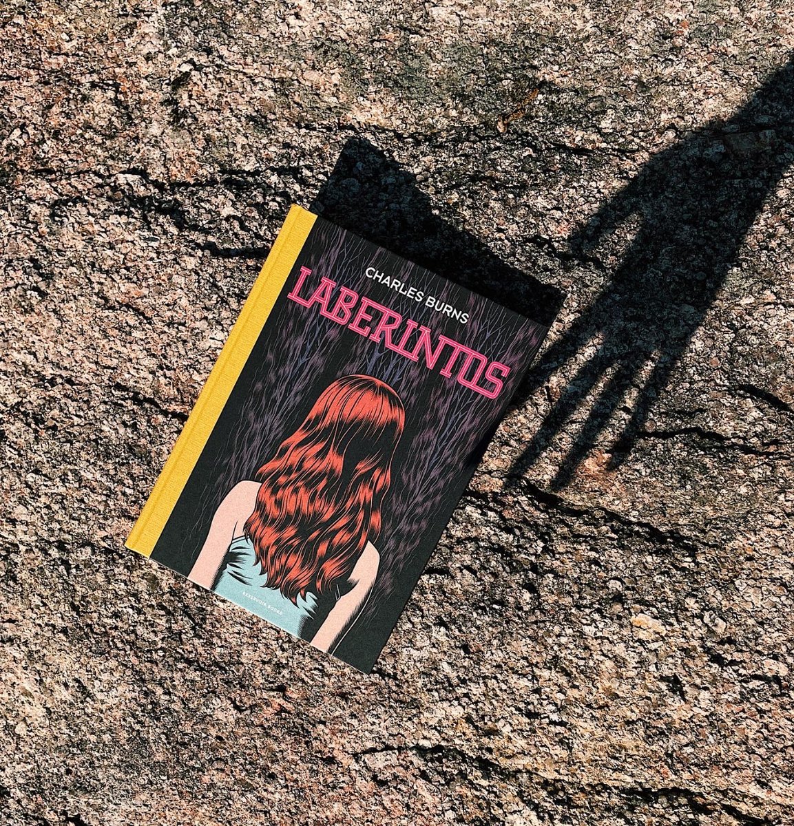 ReservoirBooks's tweet photo. «Un intrigante relato donde se entrelaza la vida adolescente, el amor por el cine y los misterios de la mente humana». 

✍️ @BoumanStudios, @underbrain.
🔗 https://t.co/9wBpvmrpG7 https://t.co/AYwvrR2IQw