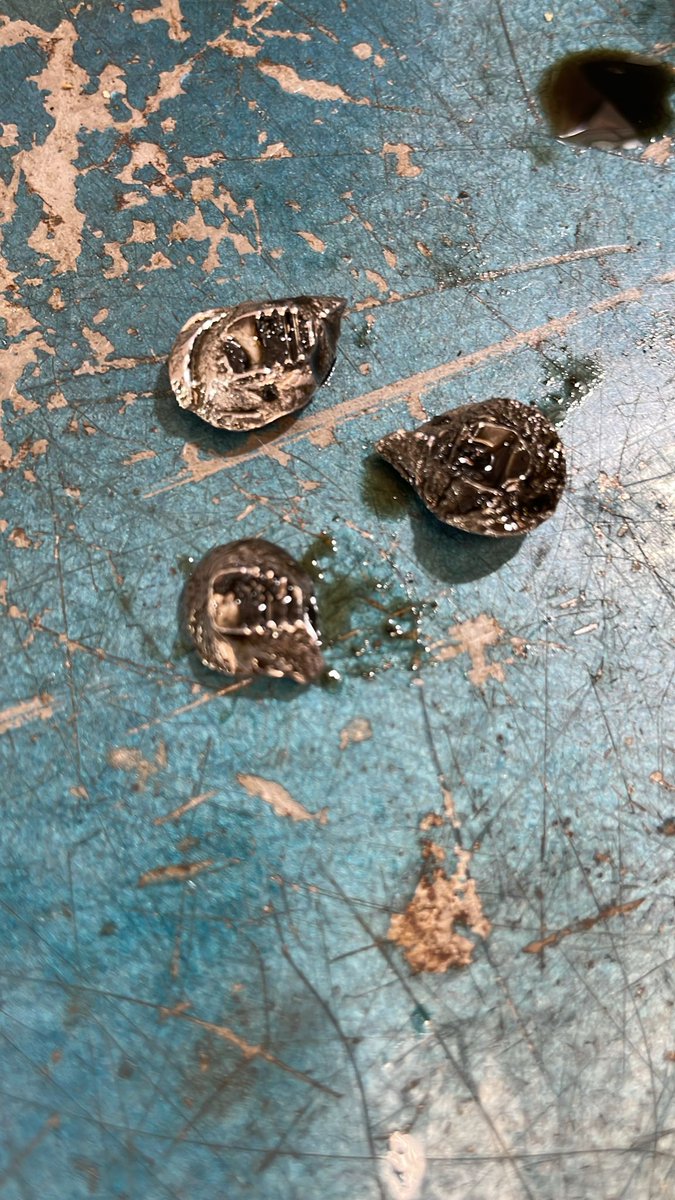 WillyCifrian's tweet photo. Por el buen trabajo en los talleres oficiales de @PeugeotES

Tamaño de una moneda de 1 céntimo, dentro del cárter.

De nuevo fallos y más fallos... https://t.co/y66UL2oSB4