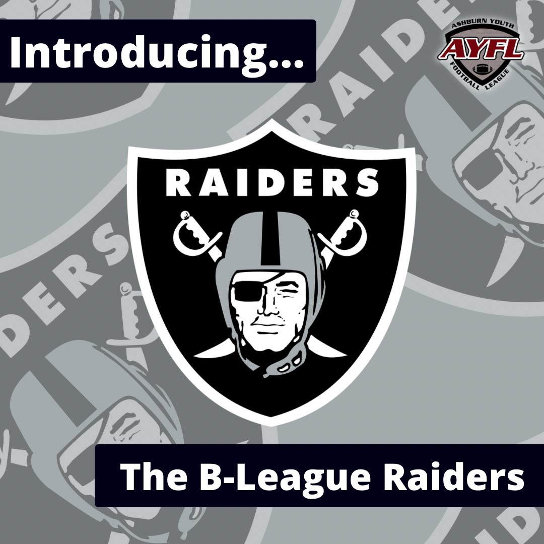 AYFL's tweet photo. Continuing with our countdown to Ultimate Flag Games, let’s continue with introducing our 2024 B-league teams!

Next Up: The B-League Raiders

Good luck this season! Go Raiders!

Sponsored by: @robeks 

#AYFL #NOVA #Ashburn #Loudoun #YouthFootball #Football #flagfootball https://t.co/z6KPu4oNqy