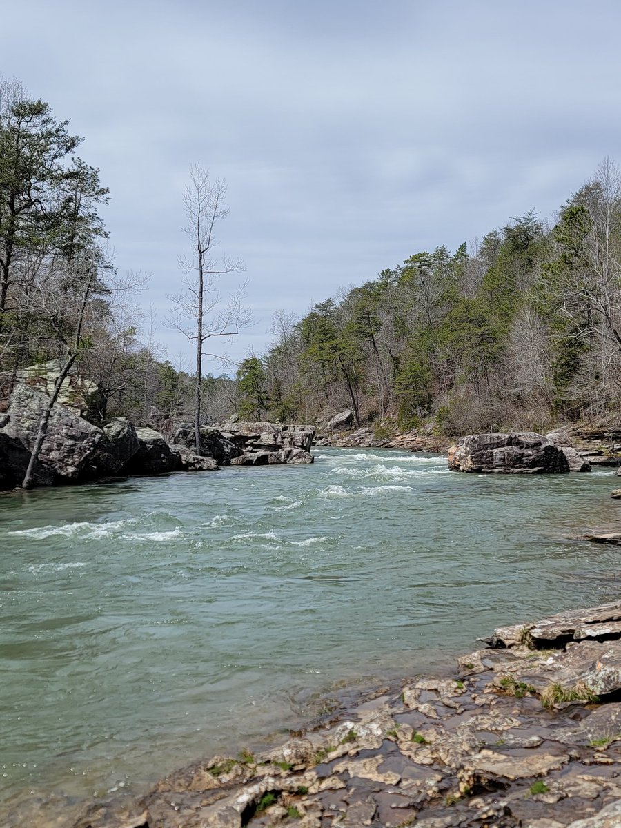 Stephan Frank tweet media