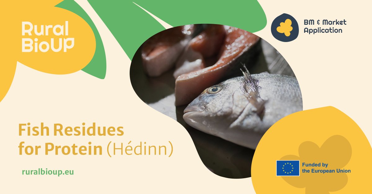 We have a valuable #resource to share with you under the 'BM & Market application' category. Are you ready?😍 Hédinn offers a mobile plant for fish waste protein production, suitable for any scale. 🐟 All you need to know is here 👉 ruralspot.eu/resource/fish-…