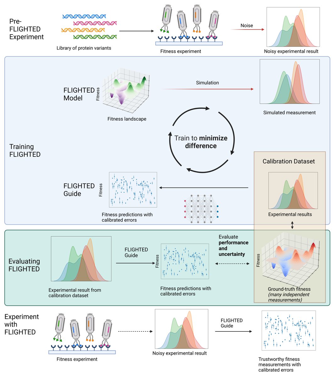 vikramsundar's tweet photo. FLIGHTED relies on Bayesian modeling and stochastic variational inference to generate calibrated errors on fitness measurements from experimental data. It does not need to be trained on ground-truth fitnesses; we use biological knowledge of the experimental system instead. 3/ https://t.co/TnQuyDz4iB