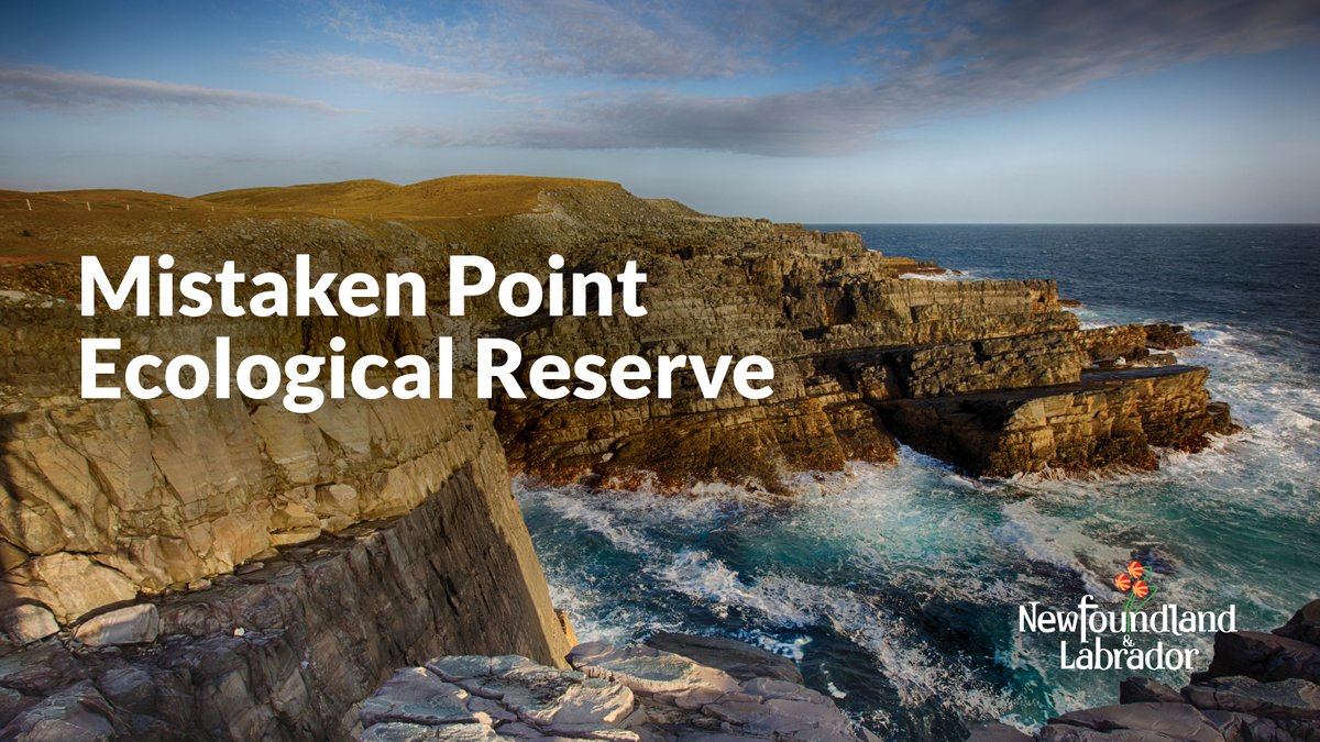 There's still time! ⏰#GNL is hiring for student positions at the Mistaken Point Ecological Reserve. 🌱 Deadline to apply is April 1. For details, visit: gov.nl.ca/ecc/files/Mist…