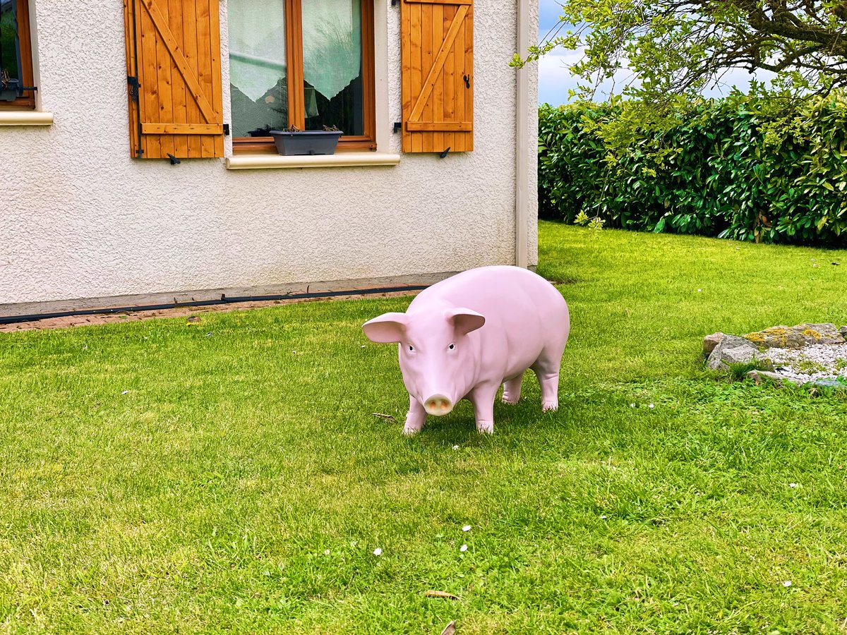 fredem60's tweet image. Après ça les rageux diront que je n’ai pas le goût des belles choses !! 🐷🐽