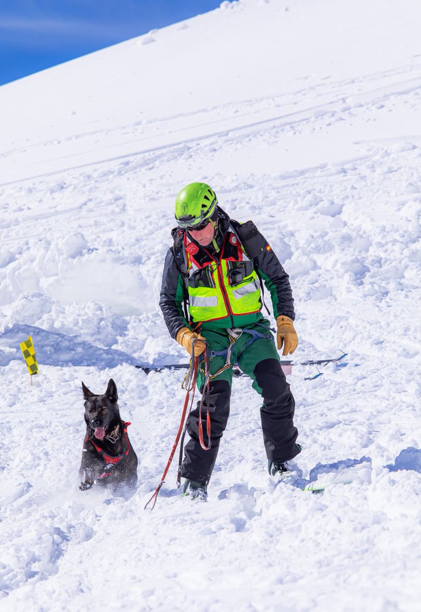 benemeritvm's tweet image. 𝐑𝐨𝐱𝐢 𝐲 𝐬𝐮 𝐠𝐮𝐢́𝐚 𝐒𝐞𝐫𝐠𝐢𝐨! Entrenados para salvar vidas en alta montaña! 𐦐 #GREIM @NavarraGC @guardiacivil