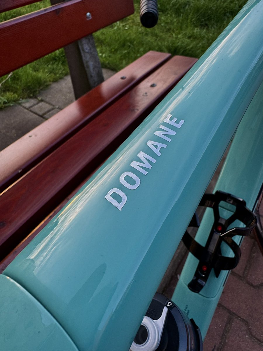 Pierwsze koty za płoty 🥰