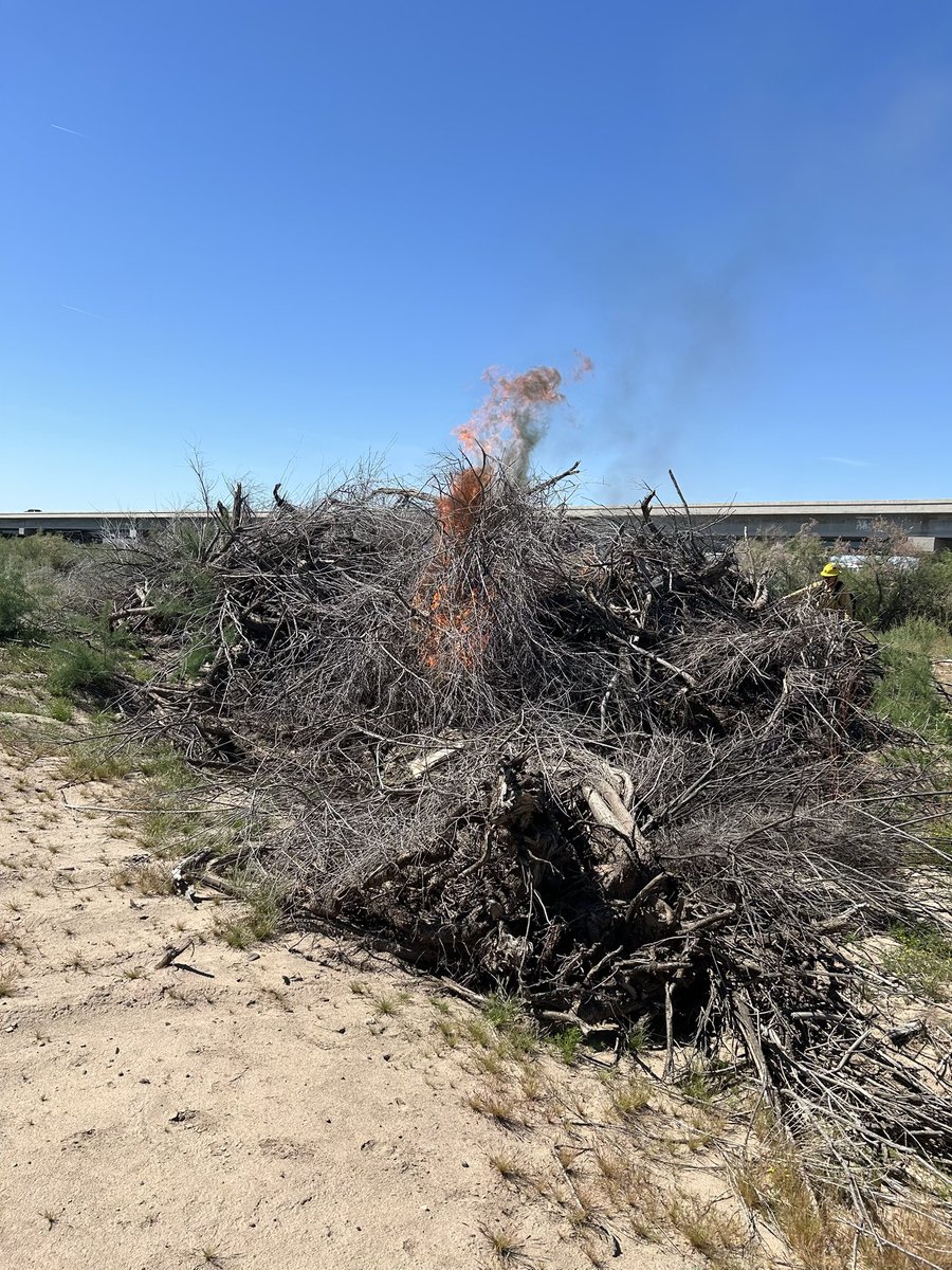 #RobbinsButteRX: ignitions starting on 10-acre pile burn near SR 85 w/n Robbins Butte Wildlife Area. Project visible to Buckeye-area & drivers along hwy. 2-day project aimed at reducing fuel piles leftover from previous work to remove invasive Tamarisk. #AZFire #AZForestry…