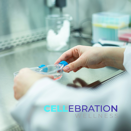cellwellness's tweet photo. Stem cell fun fact of the day:

Different categories of adult stem cells form different structures and treat different conditions. Adipose-derived stem cells (ASC) are fat stem cells collected through liposuction that can grow new blood vessels.

https://t.co/sLUfAvMOHV https://t.co/CMXSPn2mOA