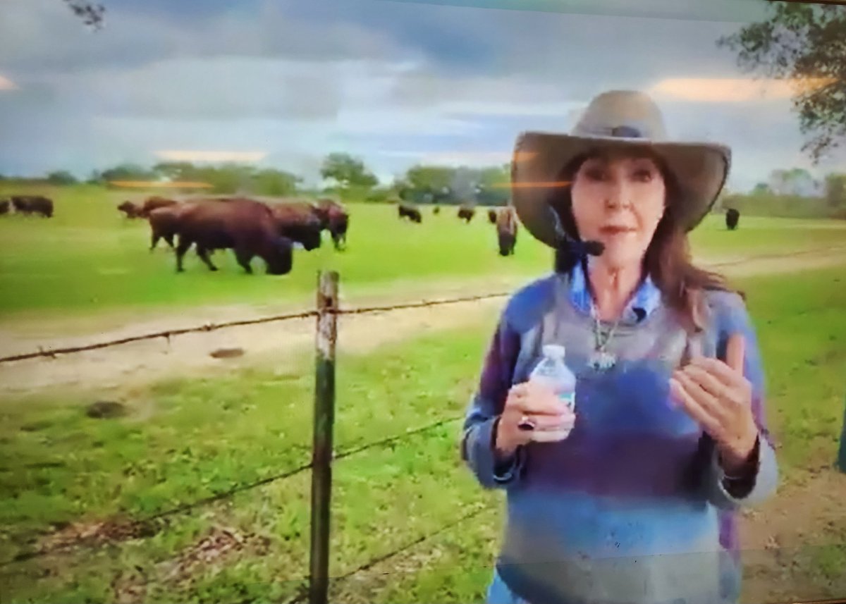 mrs_pompaclass's tweet photo. Today was our sixth "field trip," and we learned all about the North American Bison from Mrs. Beverly Brown with the Lucky Bison Ranch in Bryan, TX. She has been raising bison for the last 30 years with her husband. 🦬🇨🇱 #TraditionTitans #TexasFarmBureau #FarmFromSchool https://t.co/pK5gp6YpXN