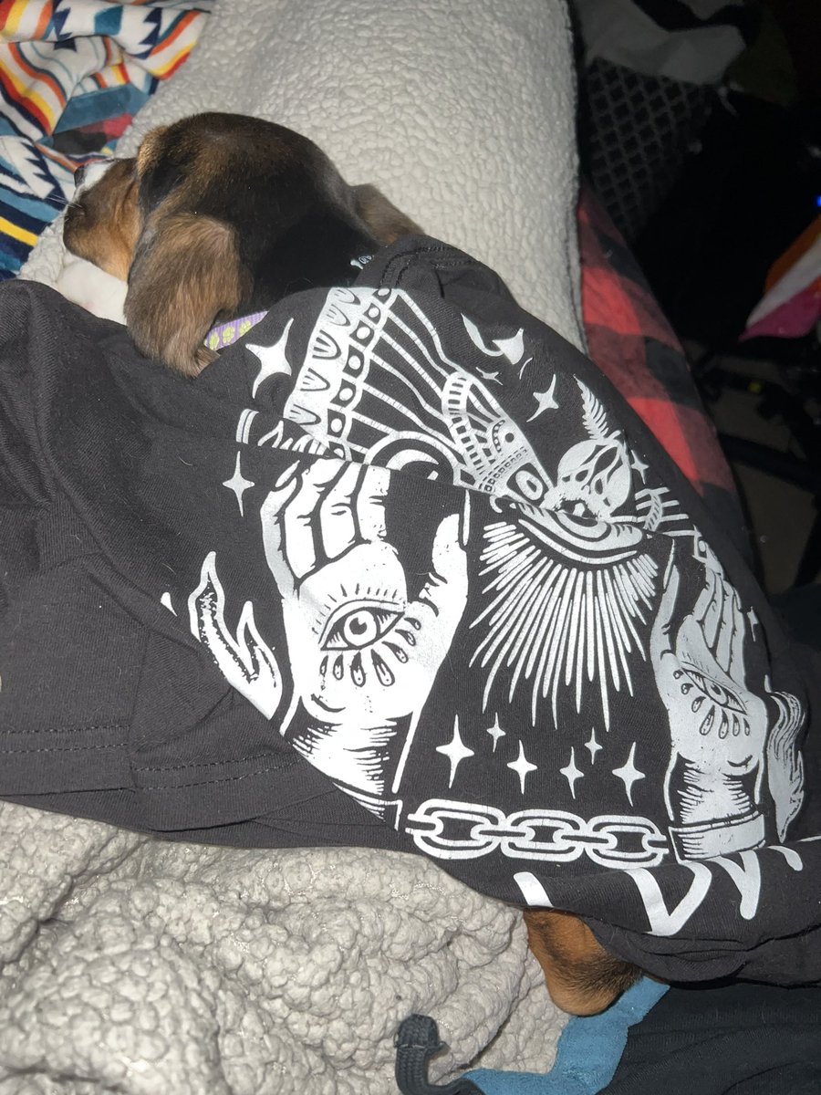 Our puppy feels safe and looks adorable in <a href="/weareborndead/">Born Dead Clothing</a>
