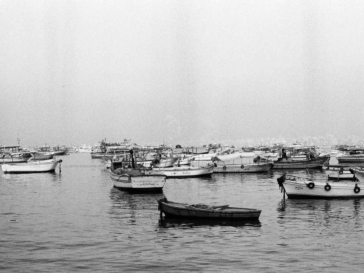 Mazenaliwa's tweet photo. عشوائيات
📸#canonae1program
🎞#expiredilford
#35mm #shotonfilm
#35mmphotgraphy
#filmphotography
#analog #film #filmcamera
#fomapan #blackandwhite
#analogphotography #analogue
#photography #Alexandria #ilfordpan #expiredfilmclub #ilford https://t.co/dqU6umZxjz