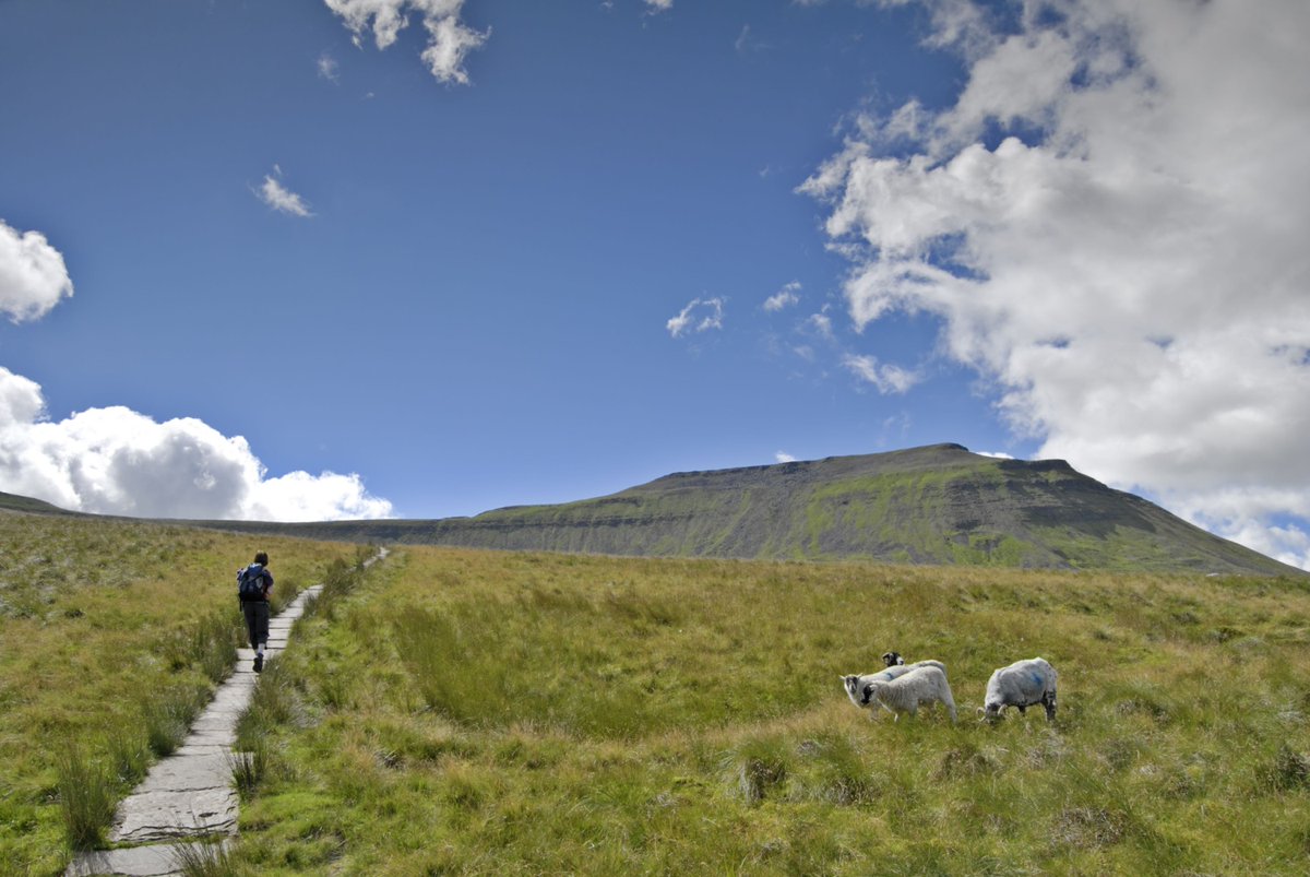 The perfect one-day-challenge for the bank holiday weekend: yorkshire.com/walkshire/york… #walking #yorkshire #3peaks