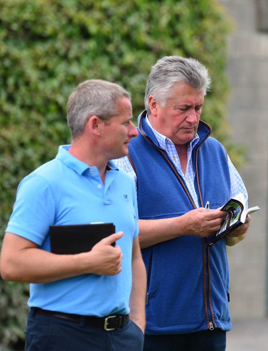 Tattersalls Ireland tweet media