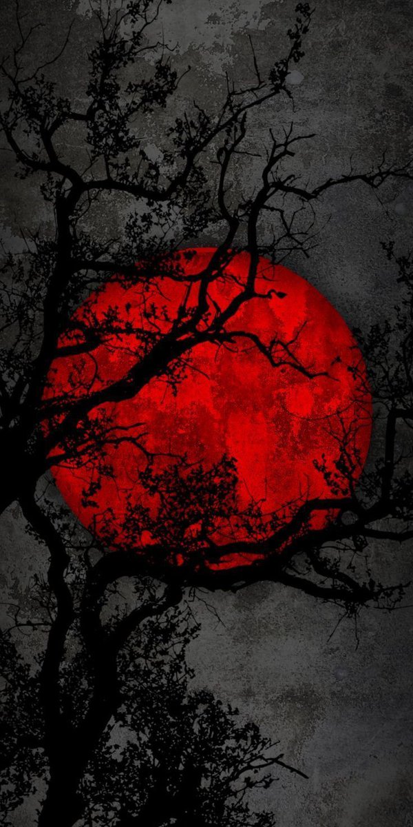 Usamabin47's tweet photo. "As the night unfolds its mysteries and the world slows its pace, may your heart find solace in the stillness. Let the moonlight guide your dreams to distant shores of wonder. Sleep well, adventurers of the night. 🌙✨ #DreamExplorers" https://t.co/slJDIun1Ud