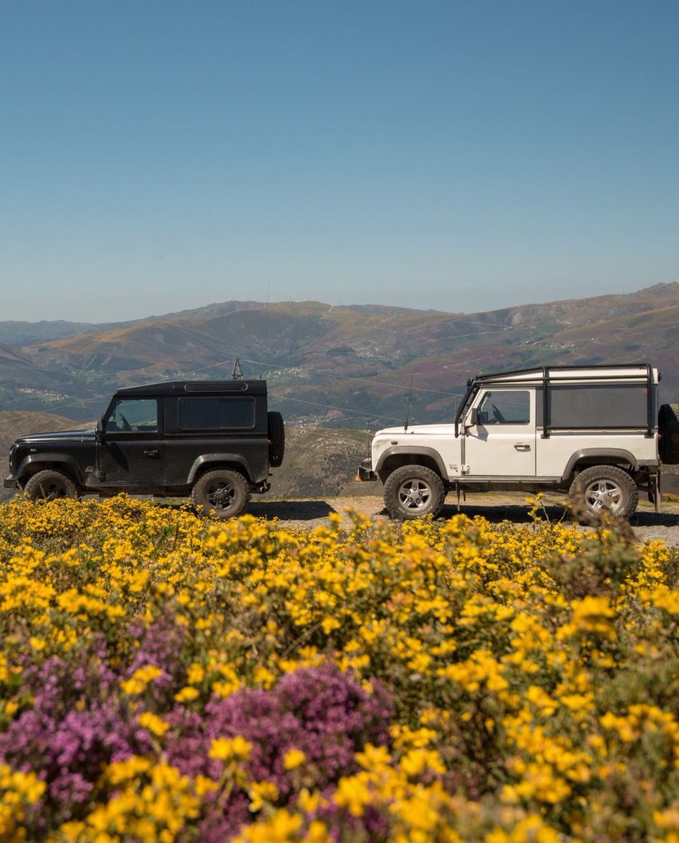 4x4wales's tweet photo. Only one vehicle space left for Portugal Overland in May 2024

https://t.co/FfSVc7pss2

#4x4tours #4x4portugal #4x4 #overlandportugal #portugal #greenlaning #greenlanes #offroad #overland #overlanding4x4 #overlanding https://t.co/VsvagrsFiW