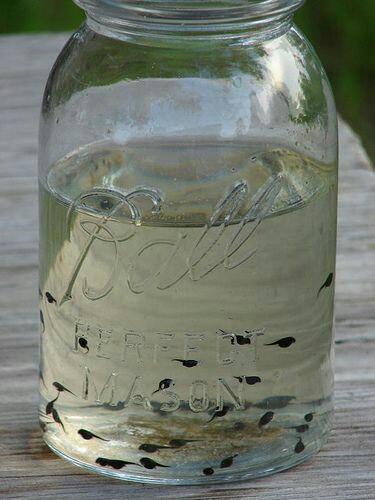 Ilovenostalgia's tweet image. What are these?