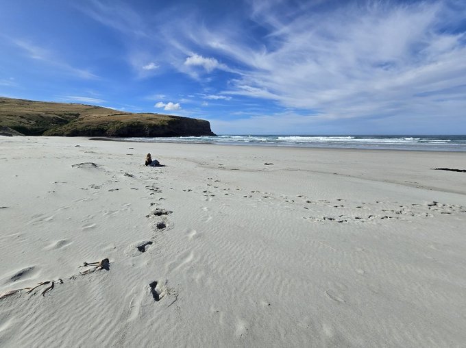 I'm baccckkkk!   I had the most amazing time in NZ.. celebrated my birthday at home for the first time