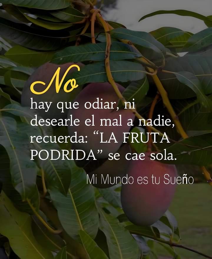 Exacto ✨